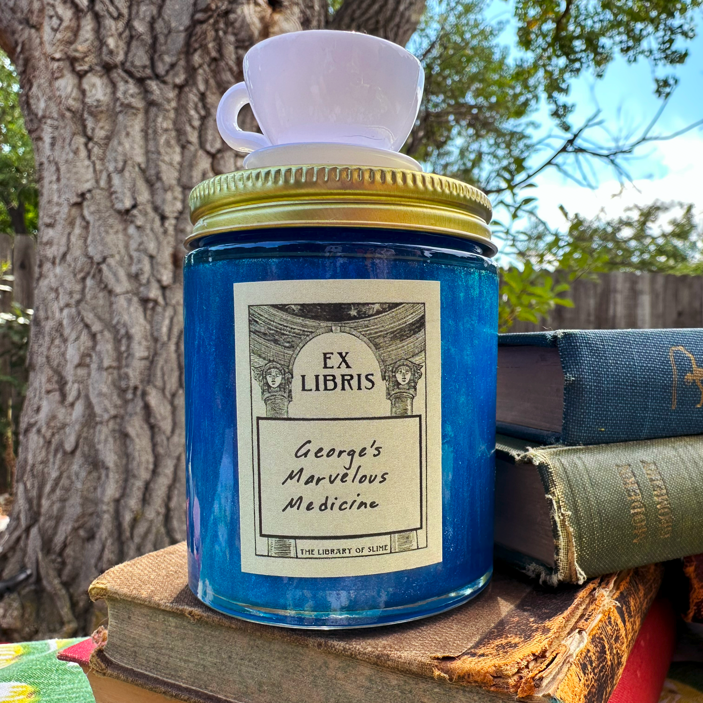 George's Marvelous Medicine