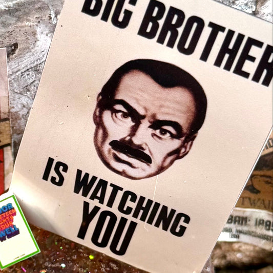 Big Brother Is Watching You Poster Charm