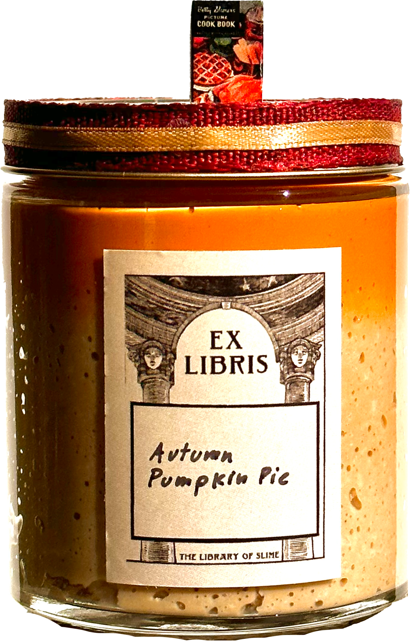 Autumn Pumpkin Pie