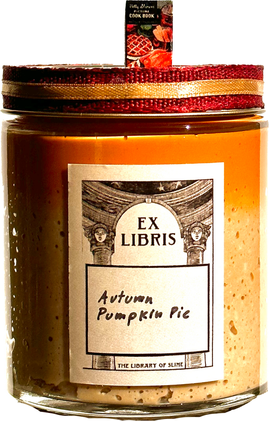 Autumn Pumpkin Pie